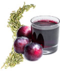 Fennel Seed Extract & Prune Juice extract